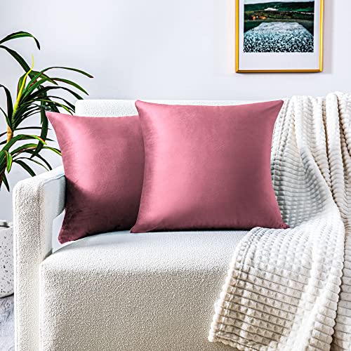 FARFALLAROSSA 2er-Set Kissenbezüge für Sofa45x45 cm, Kissenbezüge aus Samt mit verdecktem Reißverschluss verstärkt, ideal für dekorative Sofakissen - Rosa von FARFALLAROSSA