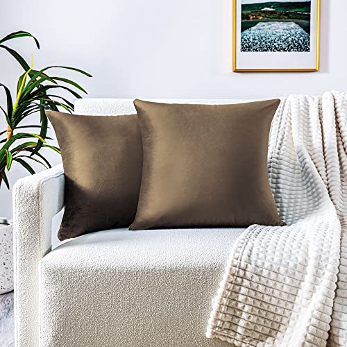 FARFALLAROSSA 2er-Set Kissenbezüge für Sofa50x50 cm, Kissenbezüge aus Samt mit verdecktem Reißverschluss verstärkt, ideal für dekorative Sofakissen - Hellbraun von FARFALLAROSSA