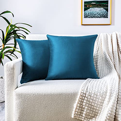 FARFALLAROSSA 2er-Set Kissenbezüge für Sofa30x50 cm, Kissenbezüge aus Samt mit verdecktem Reißverschluss verstärkt, ideal für dekorative Sofakissen - Blau von FARFALLAROSSA