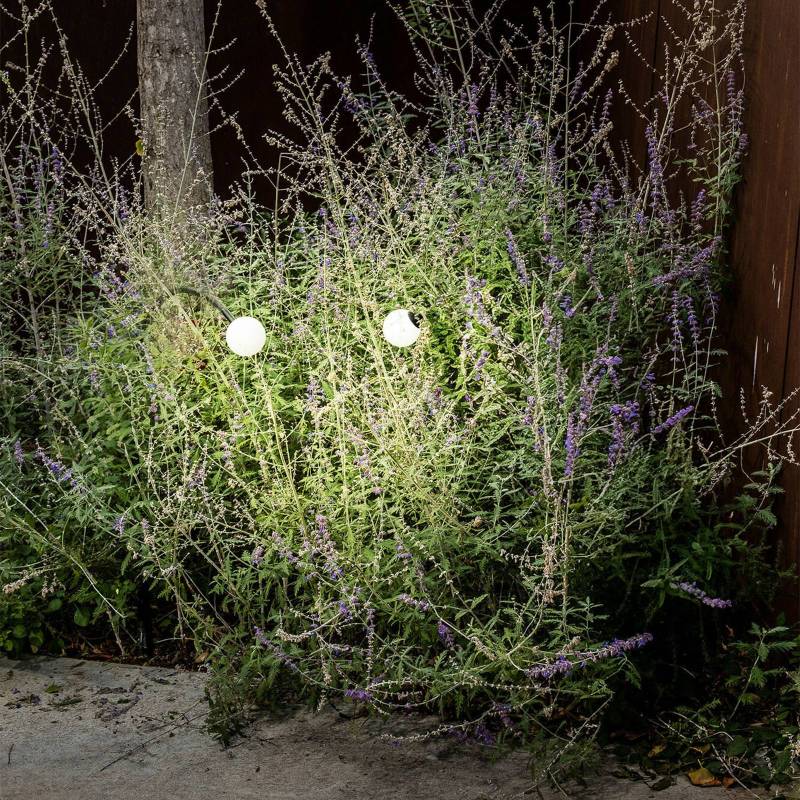 LED-Sockellampe Cuca, schwarz, Edelstahl/Glas, Höhe 65 cm von FARO BARCELONA