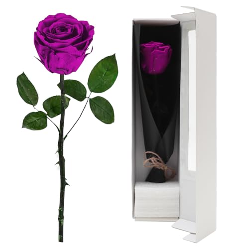 FARYODI Ewige Rose Rot mit Stiel - Echte konservierte Rose in Premium Geschenkbox, 3-5 Jahre haltbar,für Frau,Freundin,Oma,Valentinstag,Weihnachten,Muttertag,Geburtstag,Hochzeitstag,Jahrestag-Lila von FARYODI