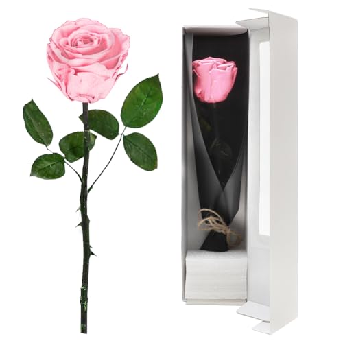 FARYODI Ewige Rose Rot mit Stiel - Echte konservierte Rose in Premium Geschenkbox, 3-5 Jahre haltbar,für Frau,Freundin,Oma,Valentinstag,Weihnachten,Muttertag,Geburtstag,Hochzeitstag,Jahrestag-Rosa von FARYODI