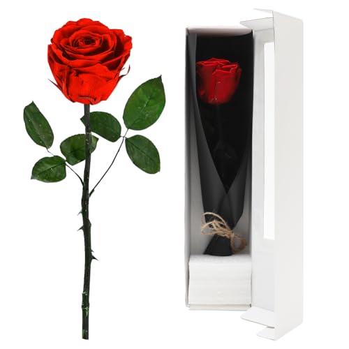 FARYODI Ewige Rose Rot mit Stiel - Echte konservierte Rose in Premium Geschenkbox, 3-5 Jahre haltbar,für Frau,Freundin,Oma,Valentinstag,Weihnachten,Muttertag,Geburtstag,Hochzeitstag,Jahrestag-Rot von FARYODI