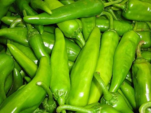 Portal Cool 10 - Samen: Lumbre Paprika"Hatch Double-X Hot" - Super Extra Hot Chile !! Schiff frei !!! von FASH LADY