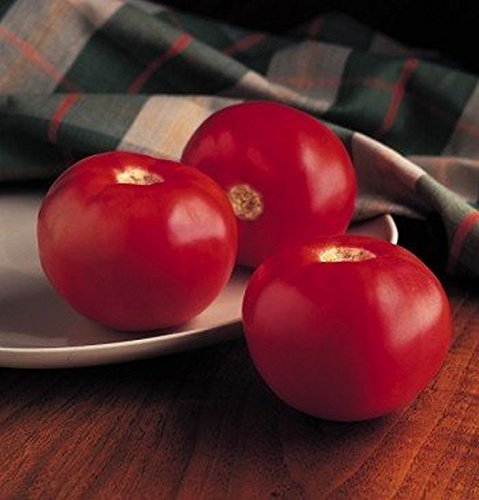 Portal Cool Samen Paket: 10 - Samen: Bobcat Hybrid Tomato Seeds - Schöne, feste Beefsteak-Tomaten !! Toller Geschmack!! Portal Cool Samen Paket: 10 - Samen: Bobcat Hybrid Tomato Seeds - Schöne, feste Beefsteak-Tomaten !! Toller Geschmack!! von FASH LADY