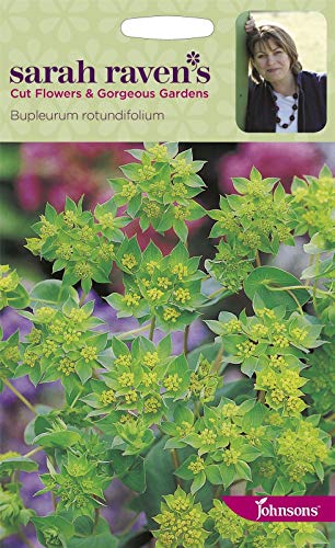 Portal Cool Samen Paket: s - Sarah Raven Schnittn - Bupleurum Rotundifolium - 200 von FASH LADY