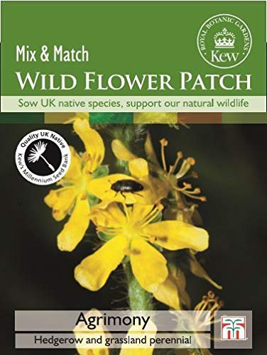 Portal Cool Thompson & Morgan - Kew - Wild Flower Patch - Odermennig - 80 Samen von FASH LADY