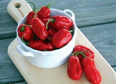 Portal Cool Zavory Mild Habanero Pepper 15 Samen - fast süÃŸ! von FASH LADY