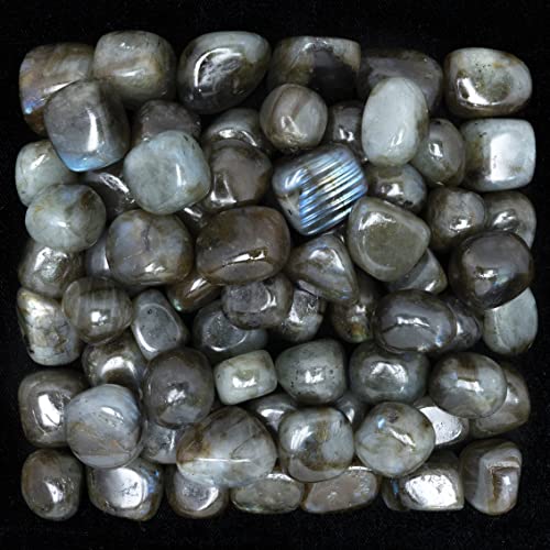 FASHIONZAADI 1/2 LB Natural Labradorite Tumbled Stones Bulk Polished Crystal Tumbles Rocks Reiki Healing Crystals Gemstone Chakra Balancing Home & Living Room Decor Spiritual Gift Set von FASHIONZAADI