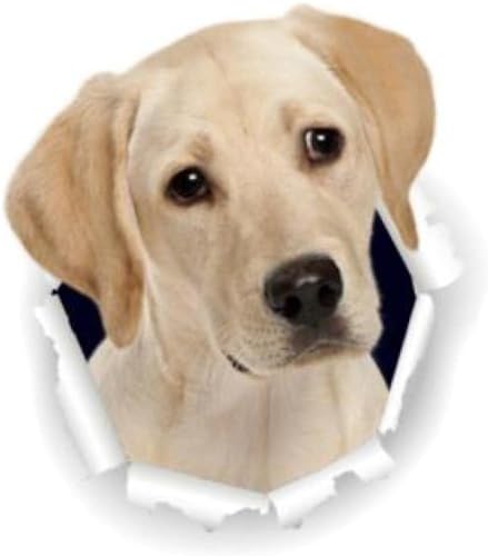 And Decals Längste Seite 20 Cm 3D Labrador Retriever Hundeaufkleber Super Aufkleber An Der Wand Kühlschrank Toilette Auto Fahrrad (2 Stück) von FASTLATE