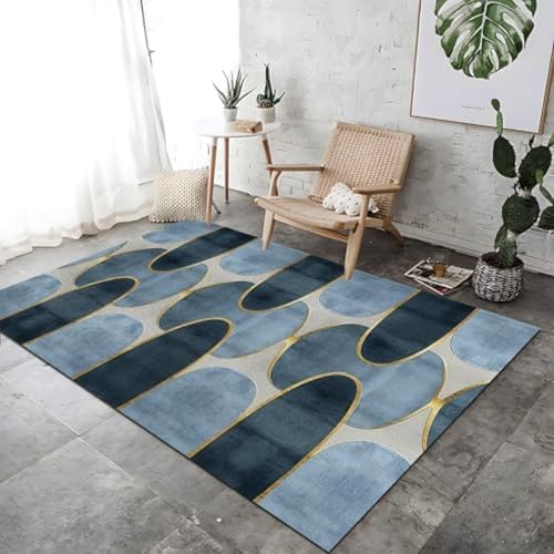 FASTLATE Fläche Teppiche Ellipse Geometrische Linien Teppich Wohnzimmer Bodenmatten Weiche Tiefhaufen Teppichblau -Maschine Waschmaschine Teppich Für Eingangsenteppich Nachtbalkon Foyer Matte von FASTLATE