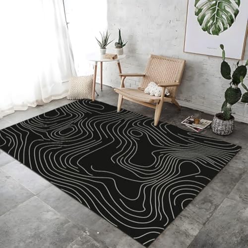 FASTLATE Topografische Linienkarte Themenbereich Teppich Für Wohnzimmer Weiche Schwarze Bodenmatte Gedruckt Großer Kurzer Stapelwaschmaschine Teppiche Für Esszimmer Nicht -Schub - FASTLATE Topografische Linienkarte Themenbereich Teppich Für Wohnzimmer Weiche Schwarze Bodenmatte Gedruckt Großer Kurzer Stapelwaschmaschine Teppiche Für Esszimmer Nicht -Schub - von FASTLATE