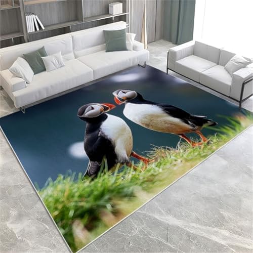 Schwarz Waschbarer Teppich Tierin Puffin Bereich Teppich Für Wohnzimmer 140 X 200 cm Weiche Kunstkurzpapierteppichmatte Langlebig Genug Faltbar Auf Dem Schlafzimmer Esszimmer,120 X 170 cm von FASTLATE