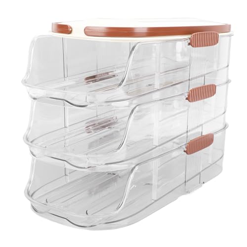 FAUOSWUK 3 Schicht Automatische Roll -Eier -Lagerbox, Eierorganisierer Eierschale für den Kühlschrank mit Geneigten Design Transparenter Deckel Lebensmittelqualitätsmaterial Versteckten (Doppelreihe) von FAUOSWUK