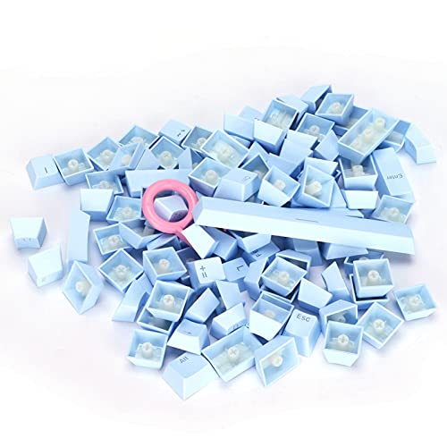 FAUOSWUK PBT-Tastaturkaps Mechanische Tastaturschlüsselkaps 108 Taste Ergonomisches Design Zwei-Farbe-Injektionstext 13 Farben mit Hochwertigem PBT-Material für 61/64/87/104/108 Taste (Hellblau) von FAUOSWUK