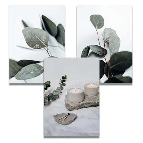 FAVELOT Poster Set, Poster Aesthetic Wandbilder Wohnzimmer - Boho Bilder grün weiß, Poster Pflanzen Eukalyptus, 3x Din A4 von FAVELOT