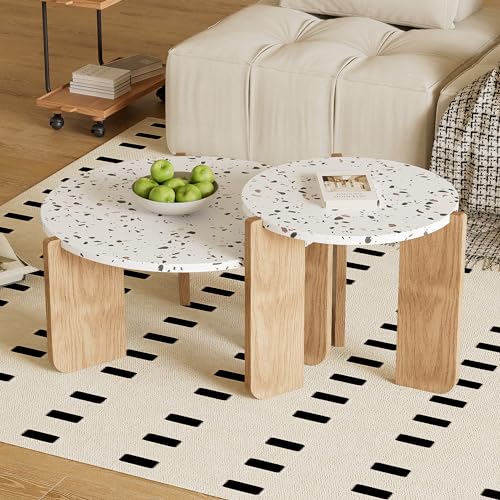 FAYICIC Moderner zusammensetzbarer Couchtisch, Beistelltisch, Couchtisch-Set für Wohnzimmer, Sofa-Beistelltisch und Balkon, 2er-Set von FAYICIC