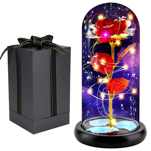 FAYODO Die Schöne und das Biest Ewige Rose, Galaxy Rose Geschenk für Freundin, Rose in Einer Glaskuppel mit LED-Licht, Geschenk für Mama am Muttertag, Geburtstag, Valentinstag, Weihnachten, Jahrestag von FAYODO