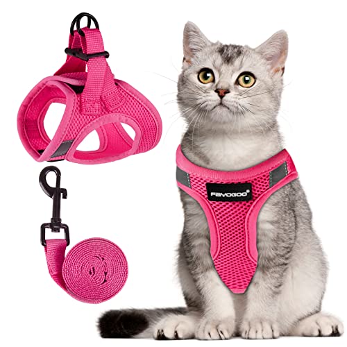 FAYOGOO Katzengeschirr und Leine, ausbruchsicher, verstellbare Leine und Geschirr-Set, lebenslanger Ersatz, einfache Kontrolle, atmungsaktive Katzenleine mit Reflexstreifen (Rosa, M) FAYOGOO Katzengeschirr und Leine, ausbruchsicher, verstellbare Leine und Geschirr-Set, lebenslanger Ersatz, einfache Kontrolle, atmungsaktive Katzenleine mit Reflexstreifen (Rosa, M) von FAYOGOO