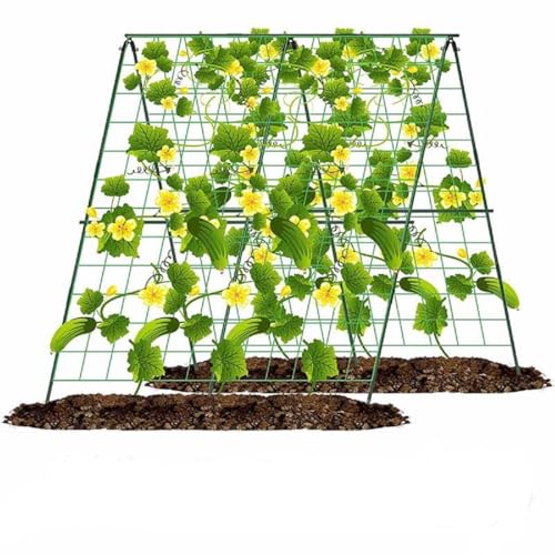 121,9 cm H x 121,9 cm L, Gurken-Rankgitter für Hochbeet, verstellbares Garten-Rankgitter für Kletterpflanzen, Outdoor, A-Rahmen-Spalier für Gemüse, Gurken, Tomaten, Wachstumsstützen (mit Kletternetz) von FAZKAR