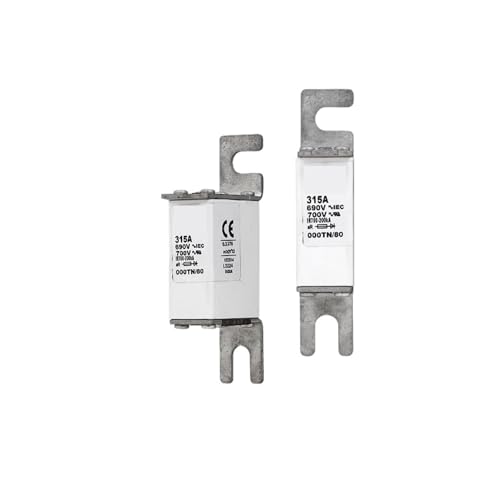 FBPQRCONS Sicherung 170M2670 von FBPQRCONS