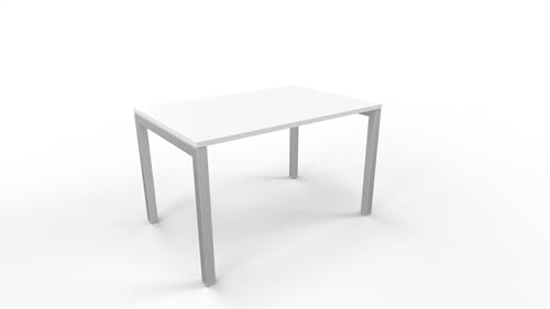 FBasic Büro-Schreibtisch – Gestell Metall Silber und weiße Holzplatte – 120 x 80 x 74 cm von FBasic