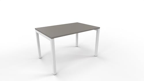 FBasic Büro-Schreibtisch – Gestell aus weißem Metall und Tischplatte aus Steingrau – 120 x 80 x 74 cm von FBasic