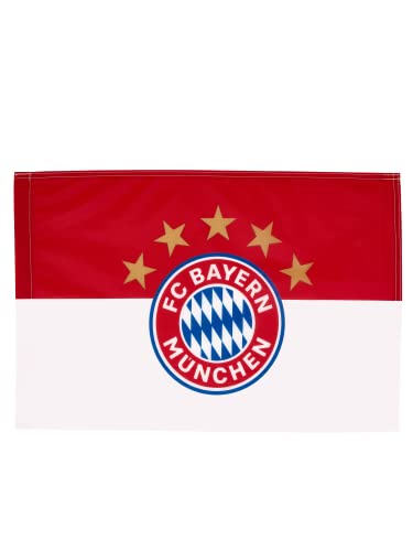 FC Bayern München Fahne - 5 Sterne Logo - 150 x 100 cm Flagge FCB - Plus gratis 1 x FCB Autogrammkarte unserer Wahl von FC Bayern München