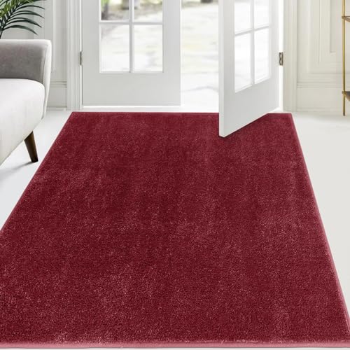 FCSDETAIL Schmutzfangmatte Innen 120 x 180 cm, rutschfeste Sauberlaufmatte, Eingangstürmatte mit Wasserabsorbierenden, Fussmatte Waschbarer Teppich Wohnzimmer Schlafzimmer von FCSDETAIL