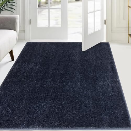 FCSDETAIL Schmutzfangmatte Innen 137 x 210 cm, rutschfeste Sauberlaufmatte, Eingangstürmatte mit Wasserabsorbierenden, Fussmatte Waschbarer Teppich Wohnzimmer Schlafzimmer von FCSDETAIL