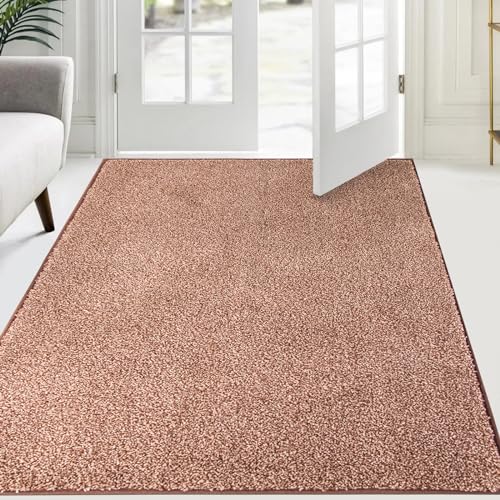 FCSDETAIL Schmutzfangmatte Innen 137 x 210 cm, rutschfeste Sauberlaufmatte, Eingangstürmatte mit Wasserabsorbierenden, Fussmatte Waschbarer Teppich Wohnzimmer Schlafzimmer FCSDETAIL Schmutzfangmatte Innen 137 x 210 cm, rutschfeste Sauberlaufmatte, Eingangstürmatte mit Wasserabsorbierenden, Fussmatte Waschbarer Teppich Wohnzimmer Schlafzimmer von FCSDETAIL