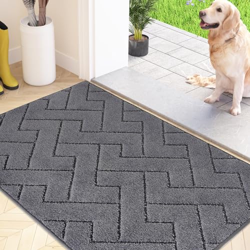 FCSDETAIL Schmutzfangmatte Innen 50 x 80 cm, rutschfeste Fußmatte, waschbar Sauberlaufmatte, absorbierend Türmatte, Fussmatte Teppich für Hund, Eingang, Haustür & Flur von FCSDETAIL