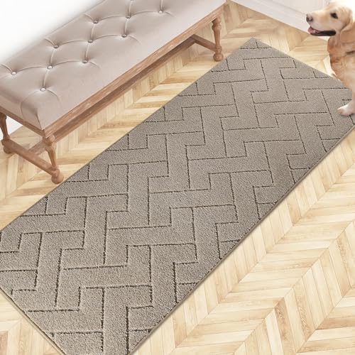 FCSDETAIL Schmutzfangmatte Innen 60 x 150 cm, rutschfeste Fußmatte, waschbar Sauberlaufmatte, absorbierend Fussmatte, Läufer Teppich für Hund, Eingang, Haustür, Flur, Küchen von FCSDETAIL