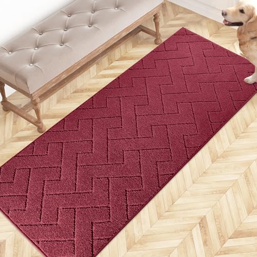 FCSDETAIL Schmutzfangmatte Innen 60 x 178 cm, rutschfeste Fußmatte, waschbar Sauberlaufmatte, absorbierend Fussmatte, Läufer Teppich für Hund, Eingang, Haustür, Flur, Küchen von FCSDETAIL