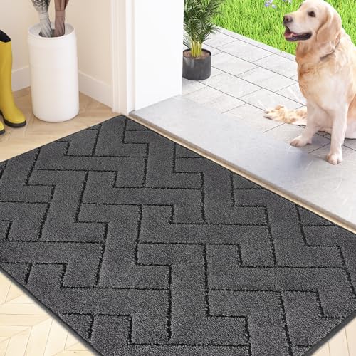 FCSDETAIL Schmutzfangmatte Innen 60 x 90 cm, rutschfeste Fußmatte, waschbar Sauberlaufmatte, absorbierend Türmatte, Fussmatte Teppich für Hund, Eingang, Haustür & Flur von FCSDETAIL