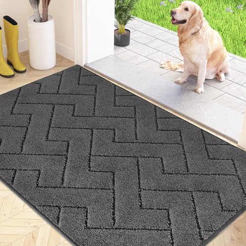 FCSDETAIL Schmutzfangmatte Innen 80 x 120 cm, rutschfeste Fußmatte, waschbar Sauberlaufmatte, absorbierend Türmatte, Fussmatte Teppich für Hund, Eingang, Haustür & Flur von FCSDETAIL