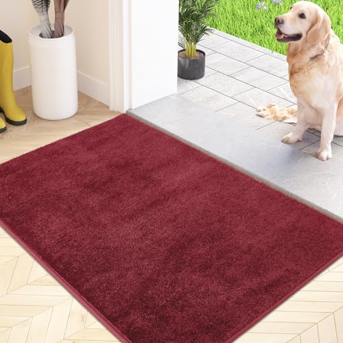 FCSDETAIL Schmutzfangmatte Innen 80 x 120 cm, rutschfeste Maschinenwaschbare Fußmatte, Sauberlaufmatte, Eingangstürmatte mit Wasserabsorbierenden, Fussmatte für Hund, Eingang, Haustür & Flur von FCSDETAIL