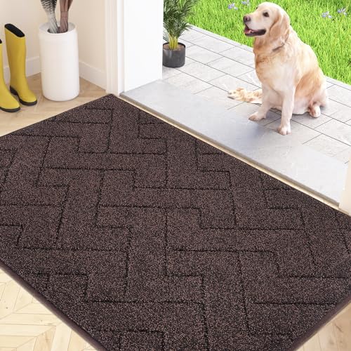 FCSDETAIL Schmutzfangmatte Innen 80 x 120 cm, rutschfeste Fußmatte, waschbar Sauberlaufmatte, absorbierend Türmatte, Fussmatte Teppich für Hund, Eingang, Haustür & Flur von FCSDETAIL