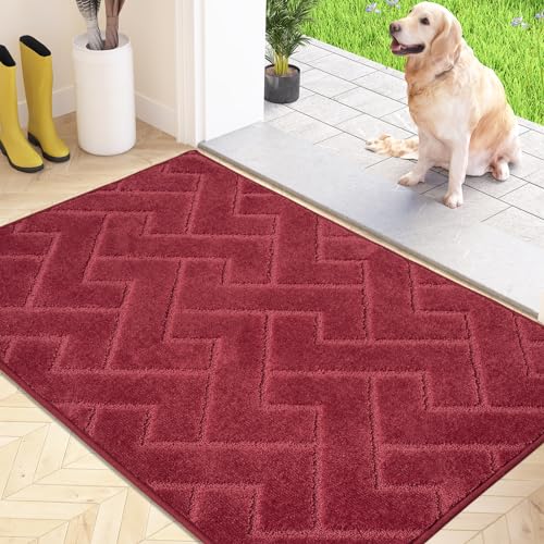 FCSDETAIL Schmutzfangmatte Innen 80 x 120 cm, rutschfeste Fußmatte, waschbar Sauberlaufmatte, absorbierend Türmatte, Fussmatte Teppich für Hund, Eingang, Haustür & Flur von FCSDETAIL