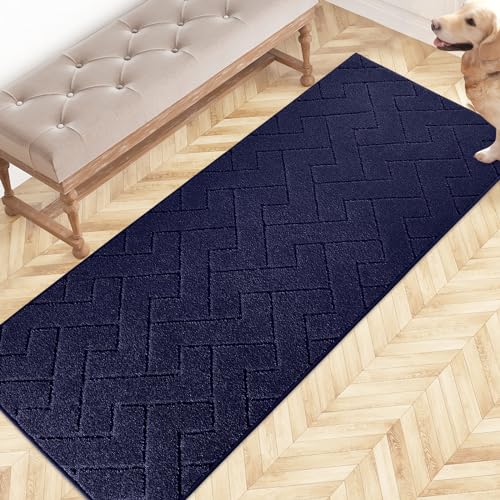 FCSDETAIL Schmutzfangmatte Innen 60 x 150 cm, rutschfeste Fußmatte, waschbar Sauberlaufmatte, absorbierend Fussmatte, Läufer Teppich für Hund, Eingang, Haustür, Flur, Küchen von FCSDETAIL