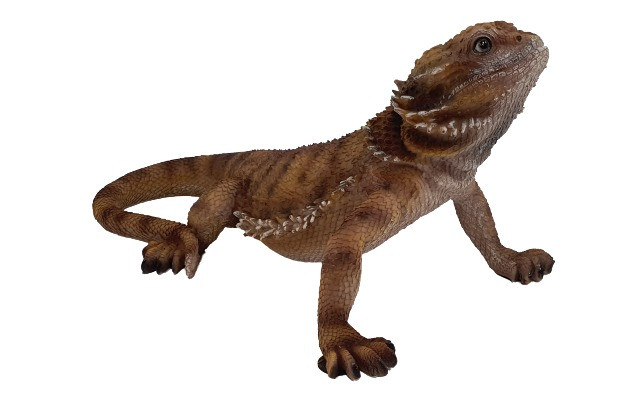 Dekofigur Bartagame 34 x 20 cm braun Dekofigur Bartagame 34 x 20 cm braun von FD
