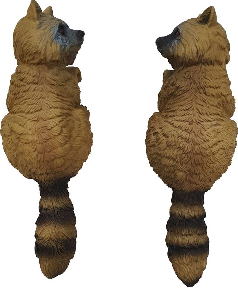 Dekofigur Waschbär zum Hängen 37 x 13 x 11 cm Dekofigur Waschbär zum Hängen 37 x 13 x 11 cm von FD