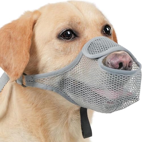 FDEETY Hundemaulkorb aus atmungsaktivem Mesh-Gewebe verstellbar und komfortabel verhindert Beißen Kauen und Lecken geeignet für tägliche Spaziergänge und Tierarztbesuche Größe S-XL Grau FDEETY Hundemaulkorb aus atmungsaktivem Mesh-Gewebe verstellbar und komfortabel verhindert Beißen Kauen und Lecken geeignet für tägliche Spaziergänge und Tierarztbesuche Größe S-XL Grau von FDEETY