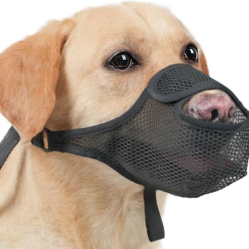FDEETY Netzartiger Atmungsaktiver Hunde Maulkorb Sicherheitsschutz Beißschutz Schnauzenkorb Verstellbar Weich Mesh Hundemaulkorb FDEETY Netzartiger Atmungsaktiver Hunde Maulkorb Sicherheitsschutz Beißschutz Schnauzenkorb Verstellbar Weich Mesh Hundemaulkorb von FDEETY
