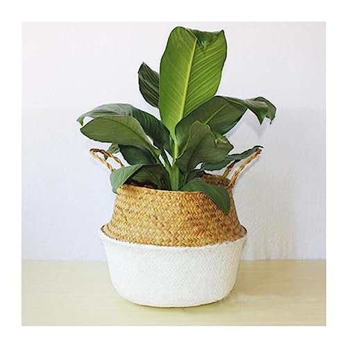FDOSIJFOS Blumentöpfe, Bambus Aufbewahrungskorb Faltbar Dekorative Patchwork Gewebte PflanzenanordnungMinimalistisch(White) von FDOSIJFOS