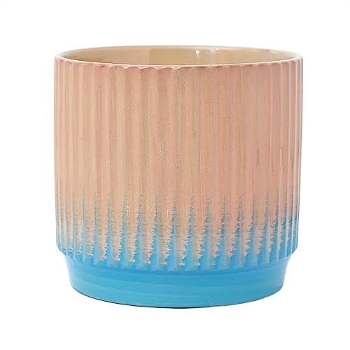 FDOSIJFOS Blumentöpfe, Einfache Wohnzimmer Balkon Sukkulenten Pflanzen Gerade Farbverlauf Pflanzer(Pink,L) von FDOSIJFOS