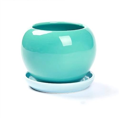 FDOSIJFOS Blumentöpfe, Niedliche runde Sukkulenten Pflanzen Pflanzenanbau einfache Pflanzgefäße Home Desktop Ornamente(Green2,S) von FDOSIJFOS
