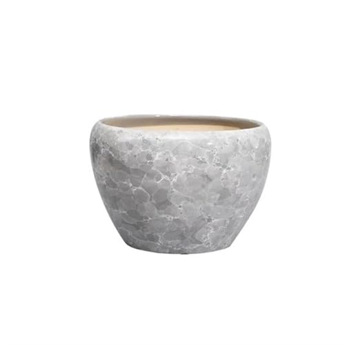 FDOSIJFOS Blumentöpfe, Pflanzer Keramik Großes Kaliber Indoor Und Outdoor Glück Baum s Sukkulenten Einfache(Gris,S) von FDOSIJFOS