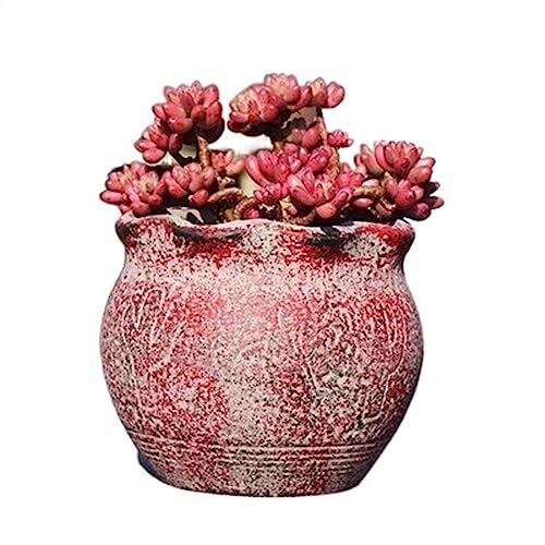 FDOSIJFOS Blumentöpfe, Sukkulenten Pflanzen Pflanzenanbau Einfache Pflanzgefäße Home Desktop Ornamente(Red) von FDOSIJFOS