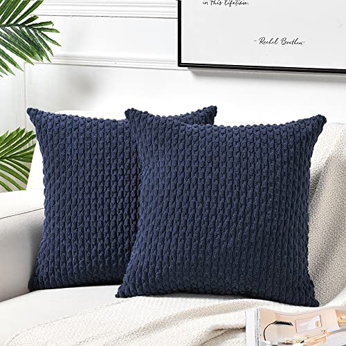 FDTERN 2er Set 40x40 cm Navy Blau Kordsamt Kissenbezug,Flauschig Boho Kissenbezüge Kissenhülle Dekokissenbezug Sofakissen Couchkissen Dekokissen Deko für Sofa Schlafzimmer Wohnzimmer von FDTERN